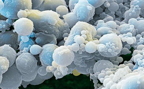 Gentechnik steht vor Revolution